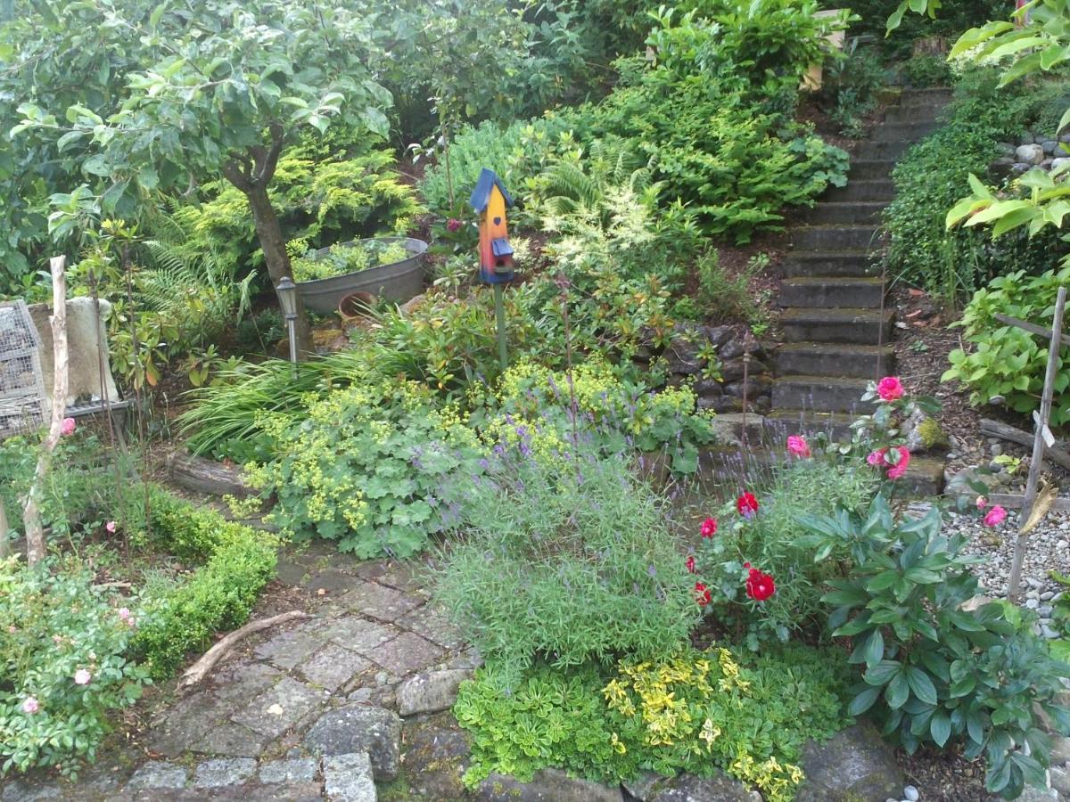 Bed & Breakfast Bodensee Mit Herz Щоках Екстериор снимка